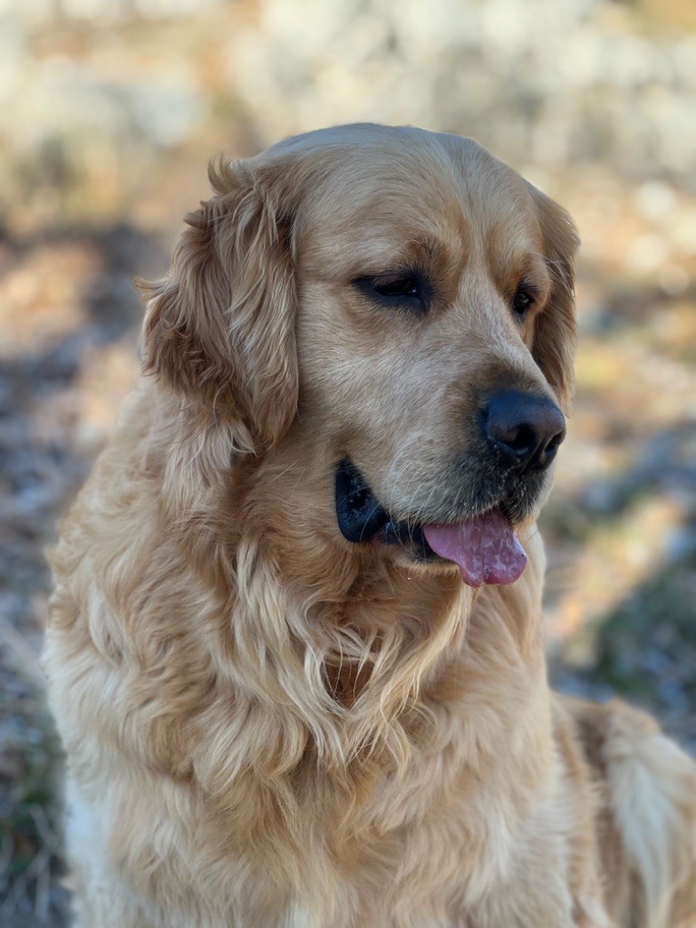 Sallie du Château de l'Amour